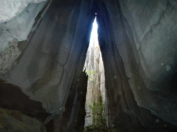 Так называемый Кафедрал. Нац.парк Tsingy de Bemaraha