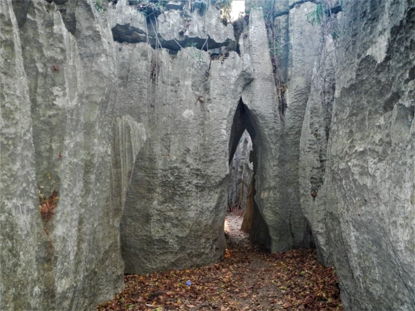 Нац.парк Tsingy de Bemaraha