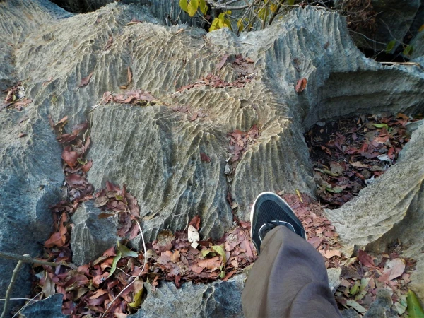 Нац.парк Tsingy de Bemaraha
