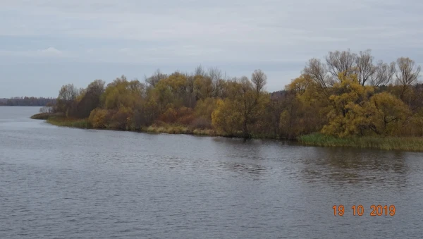 Волжские берега