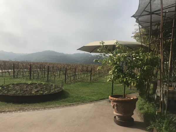 Уникальная винодельня Marchesi Antinori nel Chianti classico