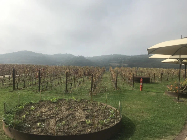 Уникальная винодельня Marchesi Antinori nel Chianti classico