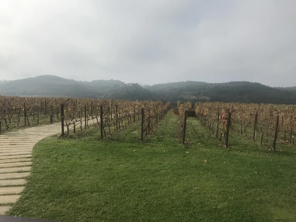 Уникальная винодельня Marchesi Antinori nel Chianti classico