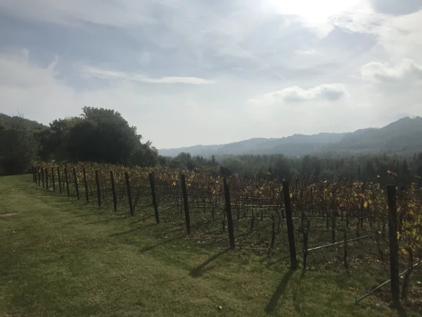 Уникальная винодельня Marchesi Antinori nel Chianti classico