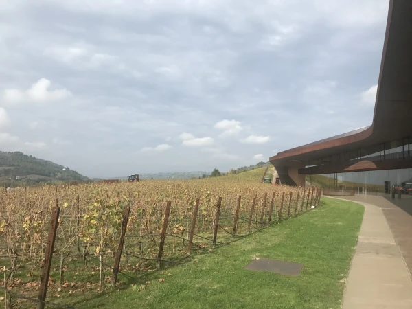 Уникальная винодельня Marchesi Antinori nel Chianti classico
