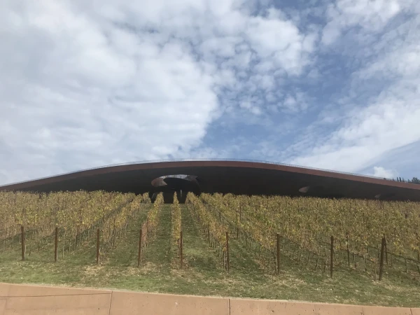 Винодельня Antinori - офис на виноградниках