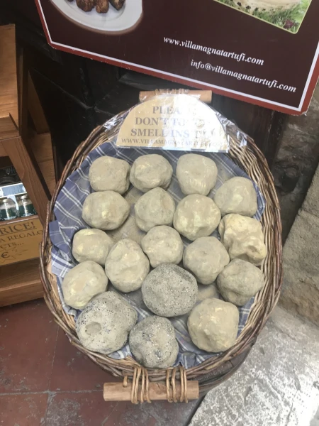 Знаменитый трюфель