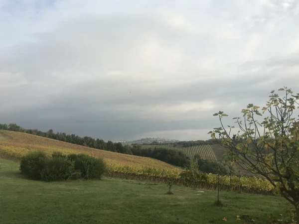Agriturismo Fattoria Voltrona