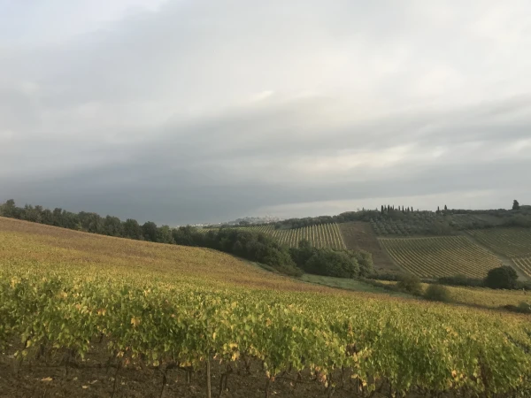 Agriturismo Fattoria Voltrona