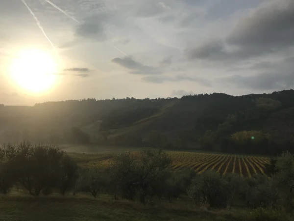 Agriturismo Fattoria Voltrona