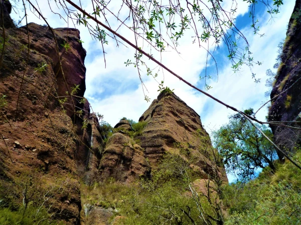 Нац парк  Los Terrones