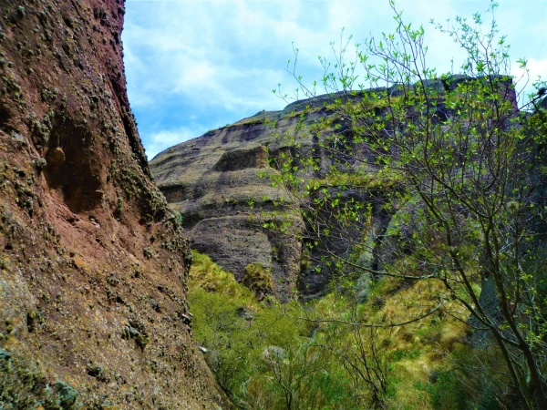 Нац парк  Los Terrones