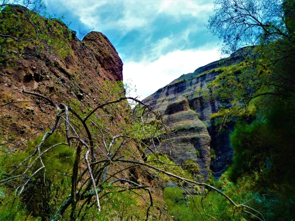 Нац парк  Los Terrones
