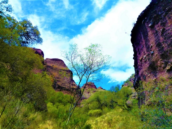 Нац парк  Los Terrones