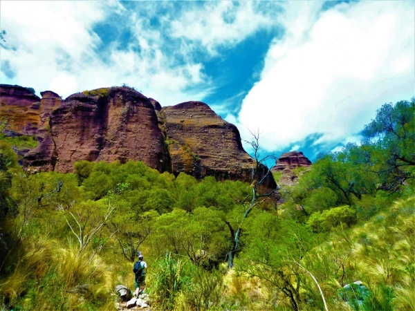 Нац парк  Los Terrones