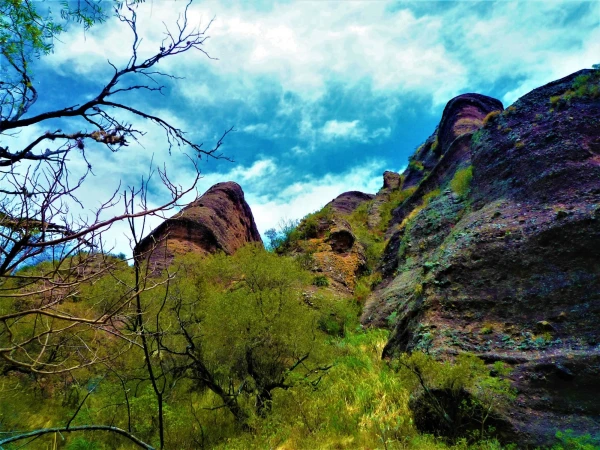 Нац парк  Los Terrones