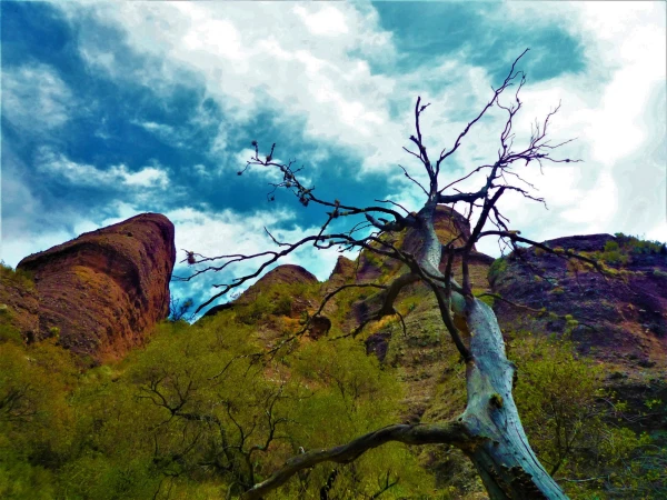 Нац парк  Los Terrones