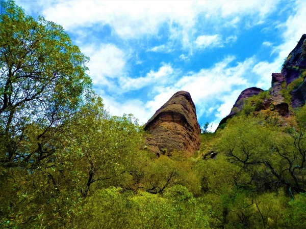 Нац парк  Los Terrones
