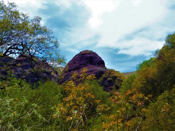 Нац парк  Los Terrones