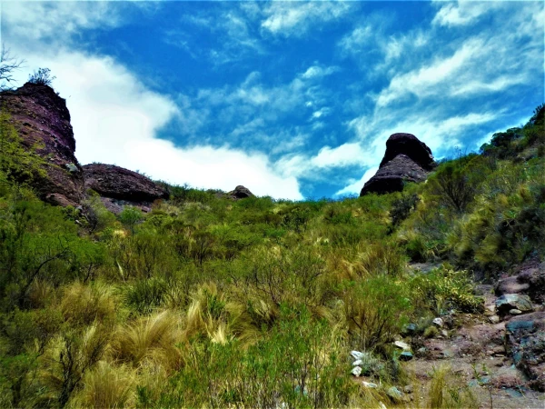 Нац парк  Los Terrones