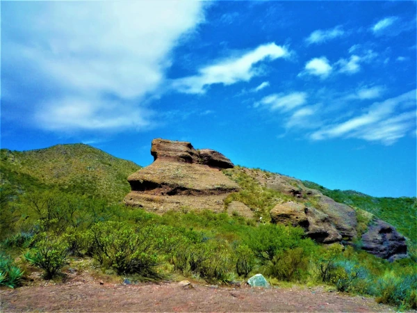 Нац парк  Los Terrones
