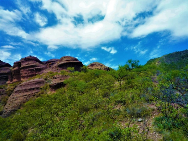 Нац парк  Los Terrones