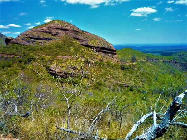 Нац парк  Los Terrones