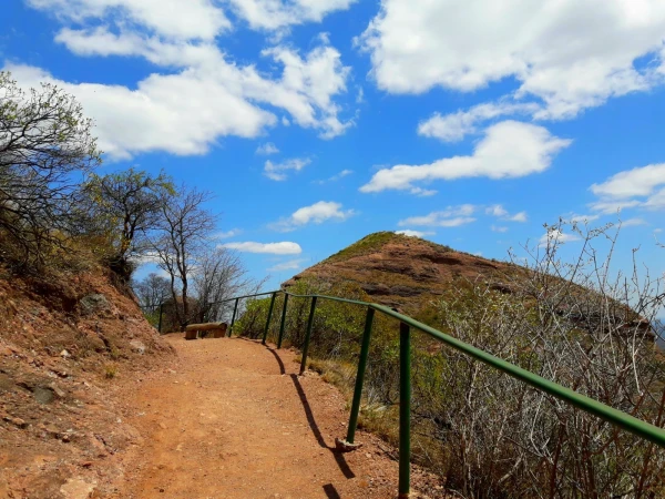 Нац парк  Los Terrones