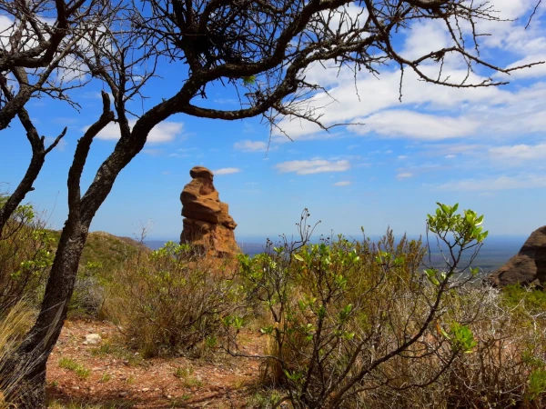 Нац парк  Los Terrones
