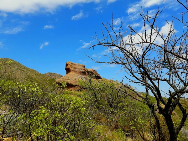 Нац парк  Los Terrones