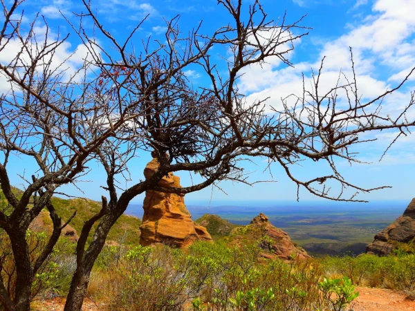 Нац парк  Los Terrones