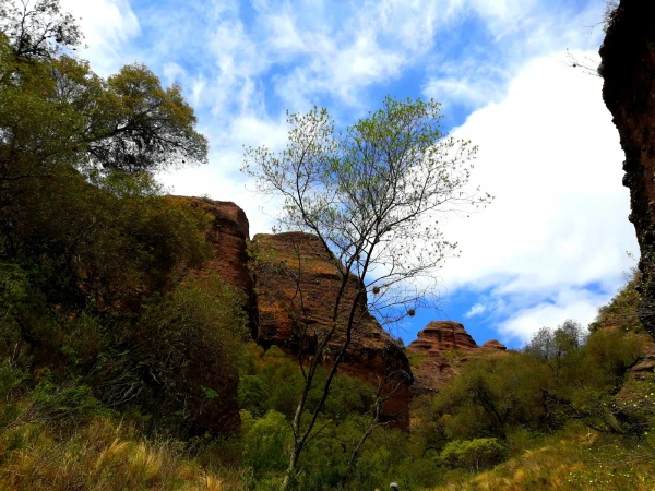Нац парк  Los Terrones