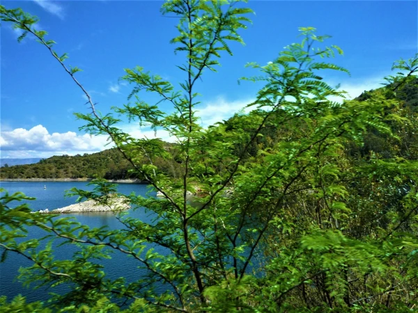Озеро Лос Молинос - Lago Los Molinos