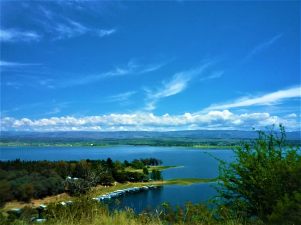Озеро Лос Молинос - Lago Los Molinos