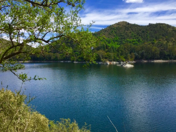 Lago Los Molinos