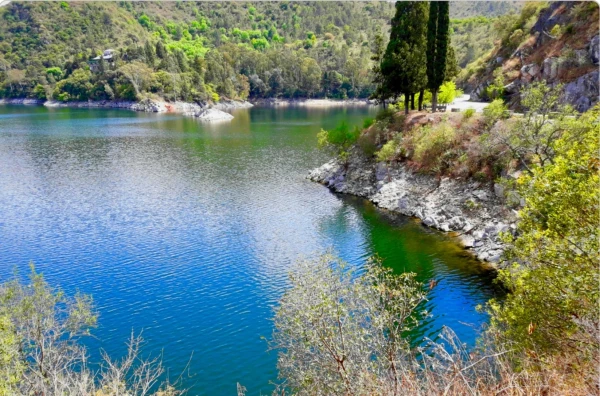 Lago Los Molinos