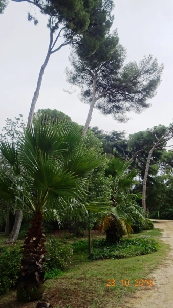 Parc de Pedralbes