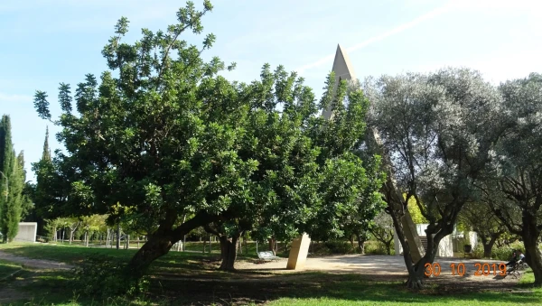 Jardins de Maria Canardo Lacasta