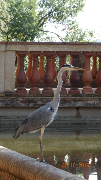Parc del Laberint d’Horta