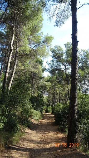 Parc del Laberint d’Horta
