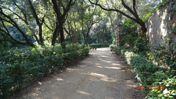 Parc del Laberint d’Horta
