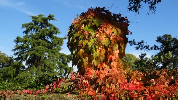 Parc del Laberint d’Horta