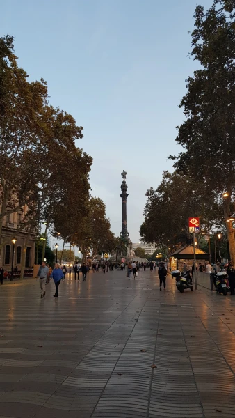 Monument a Colom