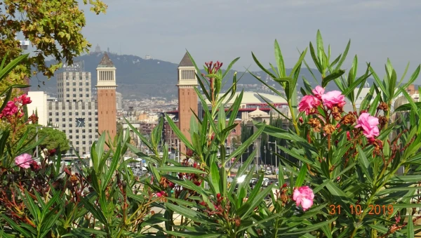 Torres venecianas