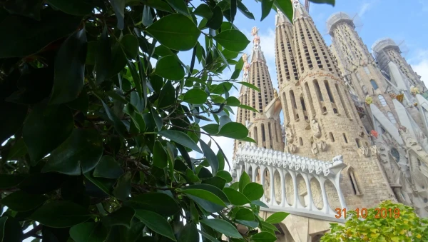 Placa de la Sagrada Familia