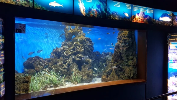 L'Aquarium de Barcelona