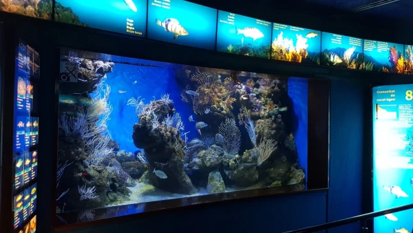 L'Aquarium de Barcelona