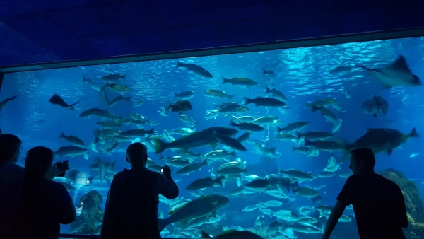 L'Aquarium de Barcelona