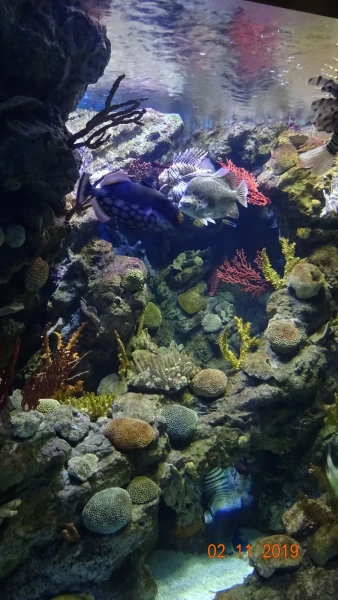 L'Aquarium de Barcelona