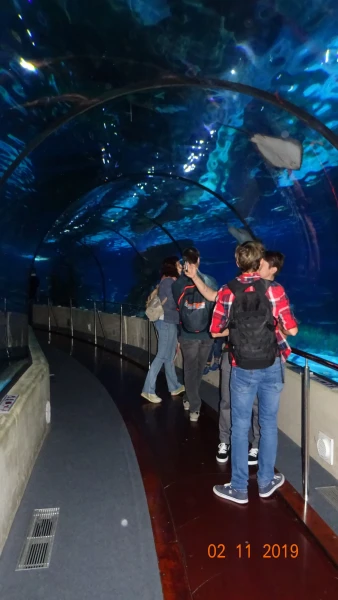 L'Aquarium de Barcelona